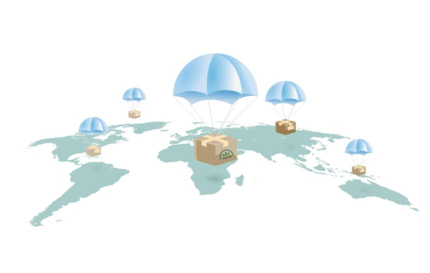 Pourquoi 99% des dropshippers de CBD échouent lamentablement et comment vous pouvez éviter cela.