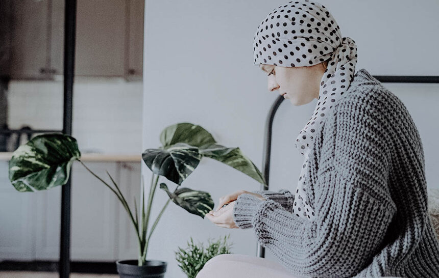 cbd-y-cancer-1.jpg Le CBD et le cancer